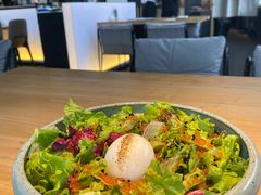 蛋蛋沙拉-Hatsune隐泉日式料理(三里屯太古里店)