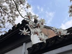 -常熟方塔园