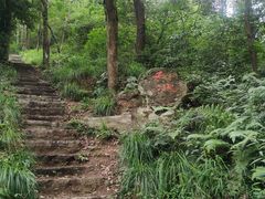-青龙山国家森林公园