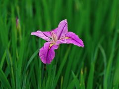 -苏州河梦清园环保主题公园