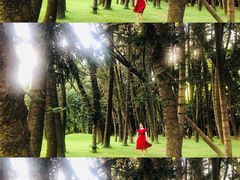 -华南国家植物园-售票处