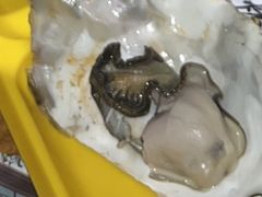 -那些年记忆烧烤