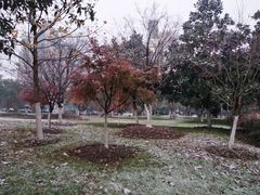 -江南大学(蠡湖校区)