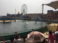 -秦皇岛乐岛海洋王国