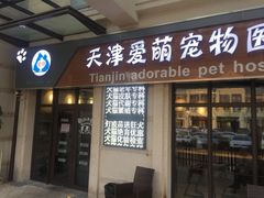 -美联众合宠物医院·爱萌分院·内外科·猫科中心