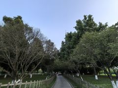 -成都南湖公园