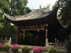 汇龙潭-汇龙潭