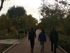 -雁滩公园