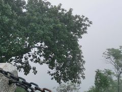 -广州市白云山风景名胜区