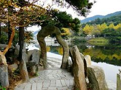 -庐山风景区花径公园