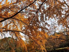 -四川大学(华西校区)