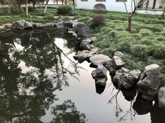 景点-月湖公园