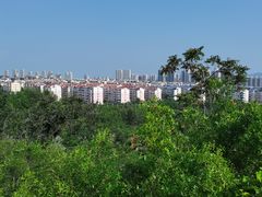 -府君山公园