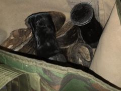 -AOE 火焰 剧本密室狼人杀