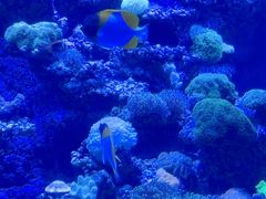 -太平洋海底世界