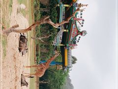 -广州长隆野生动物世界