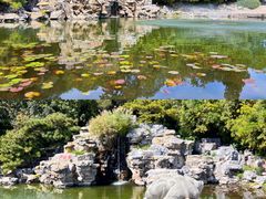 -香山公园
