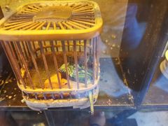 -上海昆虫博物馆