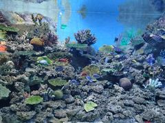 -常州海昌海洋探索馆