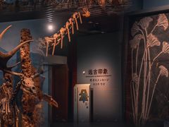 -南京博物院