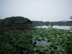 -上海市保健医疗中心