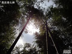 -天目湖山水园