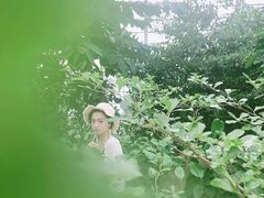 -南山植物园
