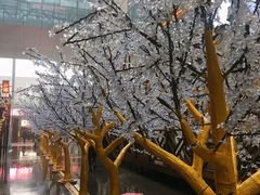 -丽达购物中心(崂山店)
