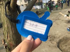 -上海崇明金茂凯悦酒店