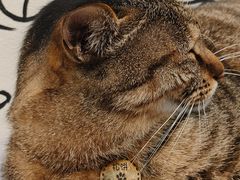 -猫的天空之城概念书店(杭州南宋御街店)