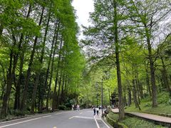 -青城山