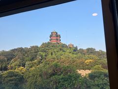 -七欣天香辣蟹火锅(南京建宁路大观天地店)