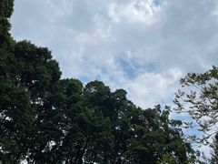 -青城山