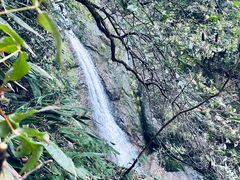-东天目山风景区