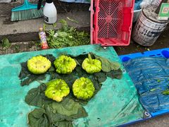 -南门绿玉农贸市场