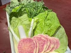 -菌之家·专业纯野生菌火锅·特色炒菌