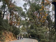 -岳麓山风景名胜区