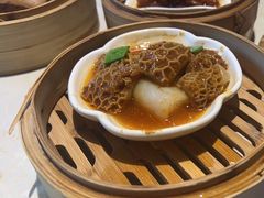 -点都德·毕德寮