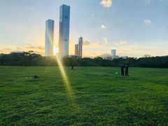 -DJI大疆(深圳华强北曼哈授权体验店)