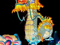 -欢乐海岸椰林沙滩-2025湾区超级灯会