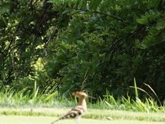 -昆明春城湖畔度假村