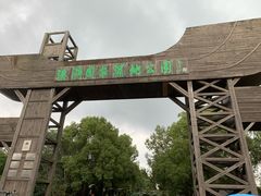 -溱湖国家湿地公园