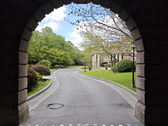 -上海瑞金洲际酒店