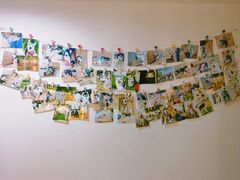 -Husky Go! 哈士奇体验馆·宠物咖啡厅狗咖