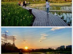 -永定河休闲森林公园