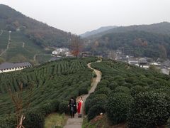 -西湖风景区十里琅珰-五云山