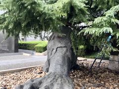 -侵华日军南京大屠杀遇难同胞纪念馆