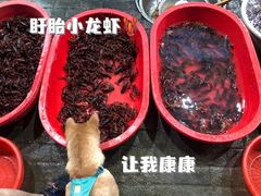 -盱眙虾怪·旗舰店