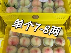 -老袁家蜜桃农场·阳山水蜜桃