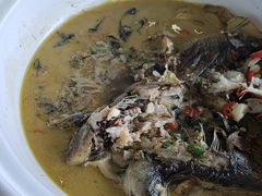 -后湖小院·乡野田园菜